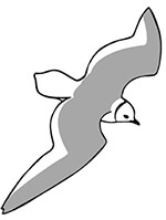 Dutch Birding Association