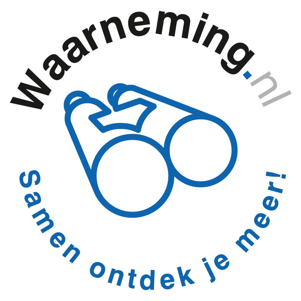 waarneming