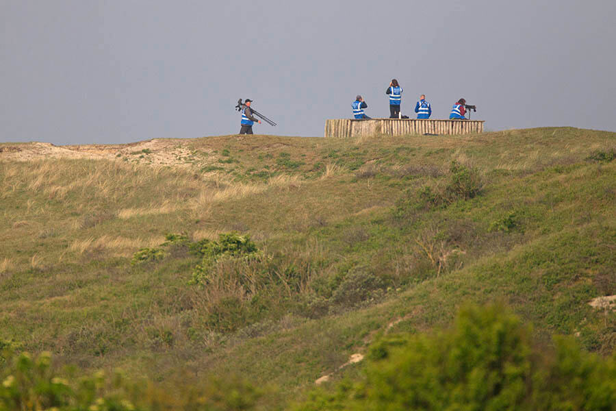 Rock around the clock Meer waarneming.nl Texel Big Day 2018 12mei2018 Harvey van Diek HVD1712 voor site