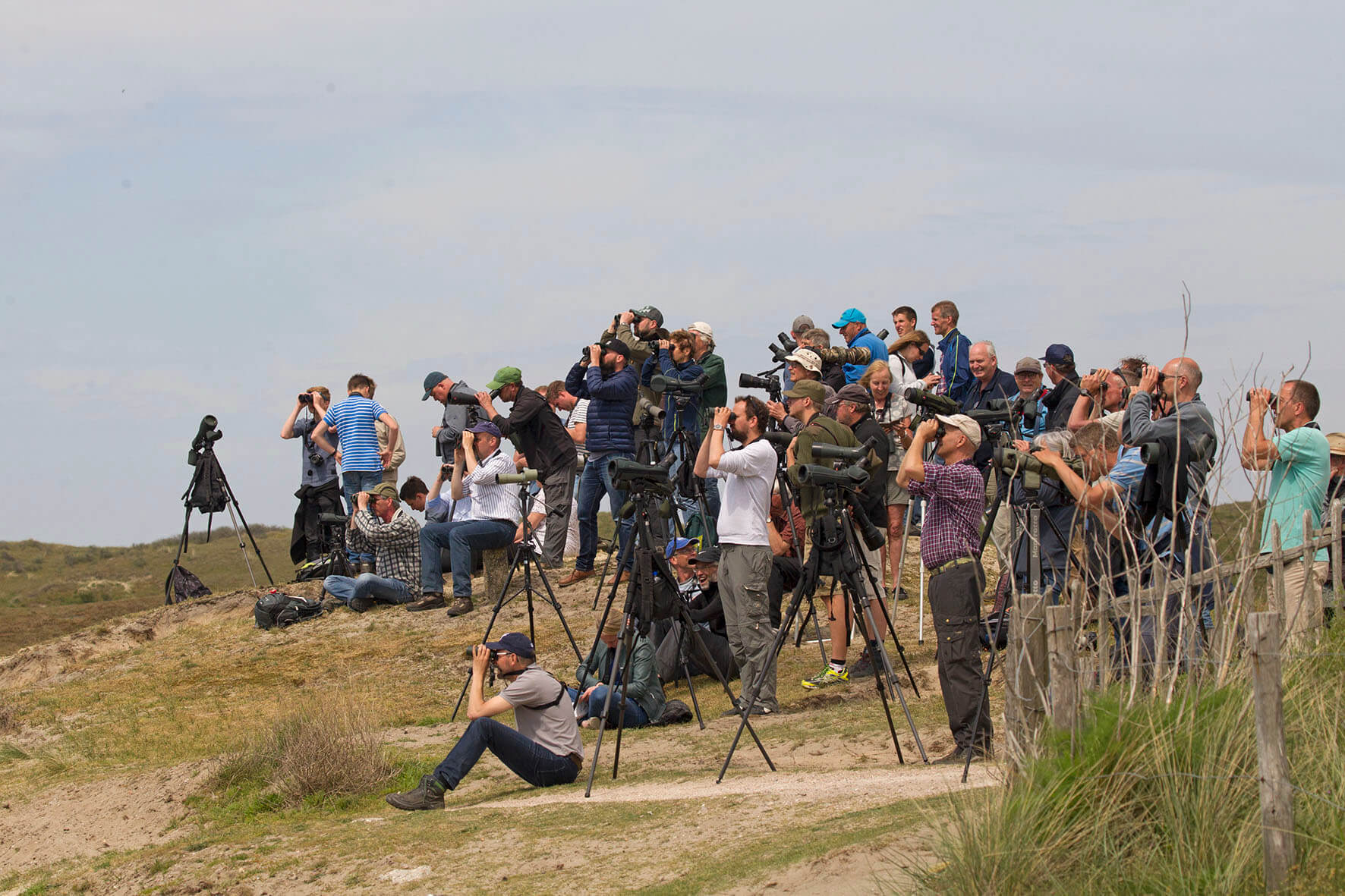 Vogelaars bij Renvogelveld Texel Big Day 2018 12mei2018 Harvey van Diek HVD2000 voor pres