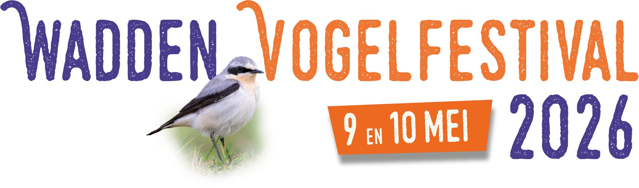 Wadden Vogelfestival